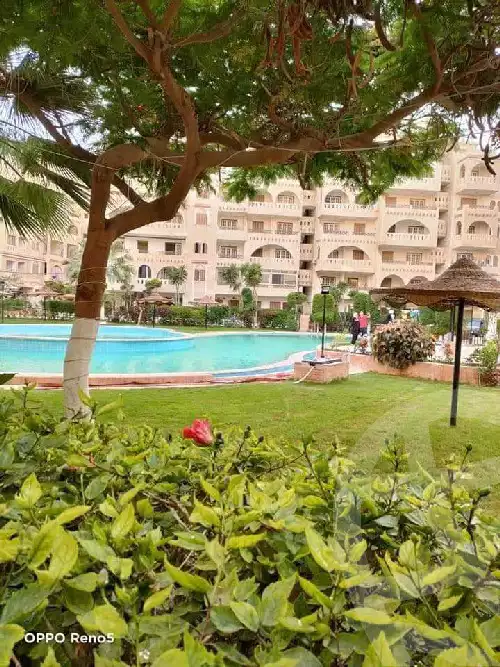 https://aqarmap.com.eg/en/listing/5753887-for-rent-alexandria-l-jmy-shataa-el-nakheel-octuber-al-nakhel-st