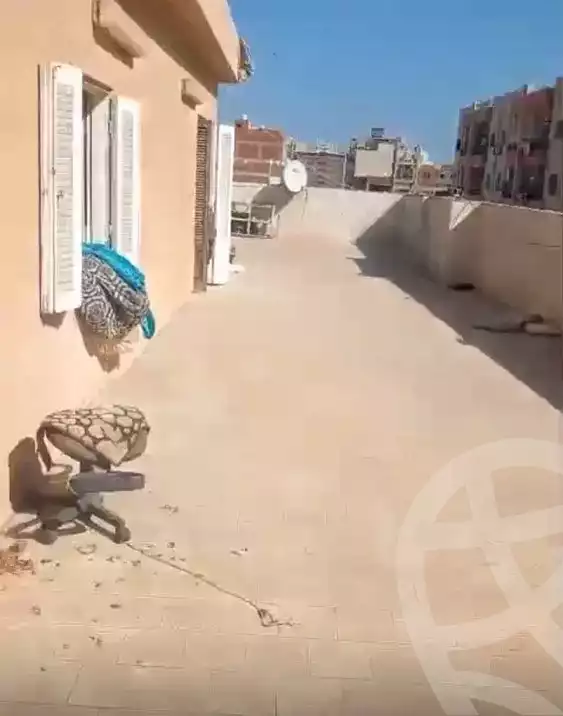 https://aqarmap.com.eg/en/listing/5755196-for-sale-gharbia-tanta-tanta-city-moustafa-al-gendy-moheb-sabekan-st