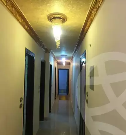 https://aqarmap.com.eg/en/listing/5758062-for-rent-cairo-nasr-city-zahraa-nasr-city