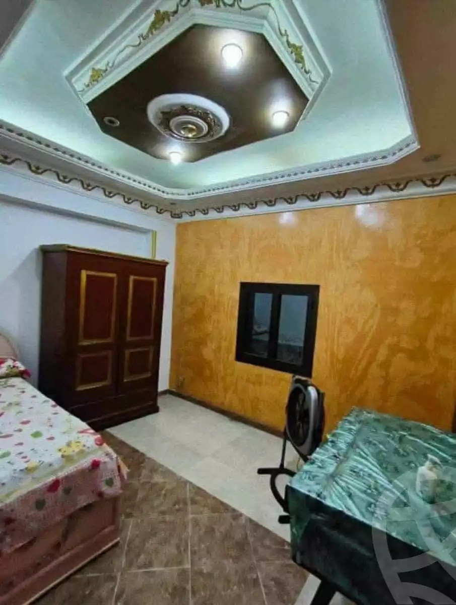 https://aqarmap.com.eg/en/listing/5759199-for-rent-sharqia-zagazig