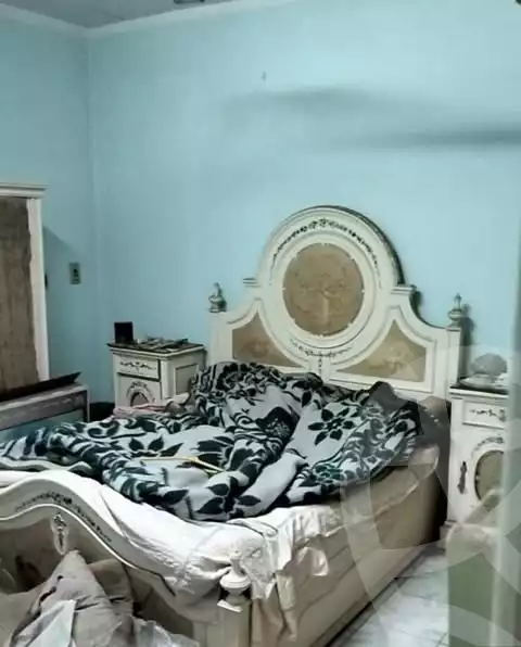 https://aqarmap.com.eg/en/listing/5759717-for-sale-cairo-ljyz-el-zomor-canal-st