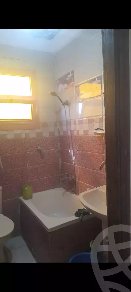 https://aqarmap.com.eg/en/listing/5759864-for-rent-alexandria-miami-al-mostaged-st