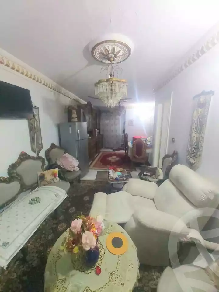 https://aqarmap.com.eg/en/listing/5761042-for-sale-alexandria-zezenia