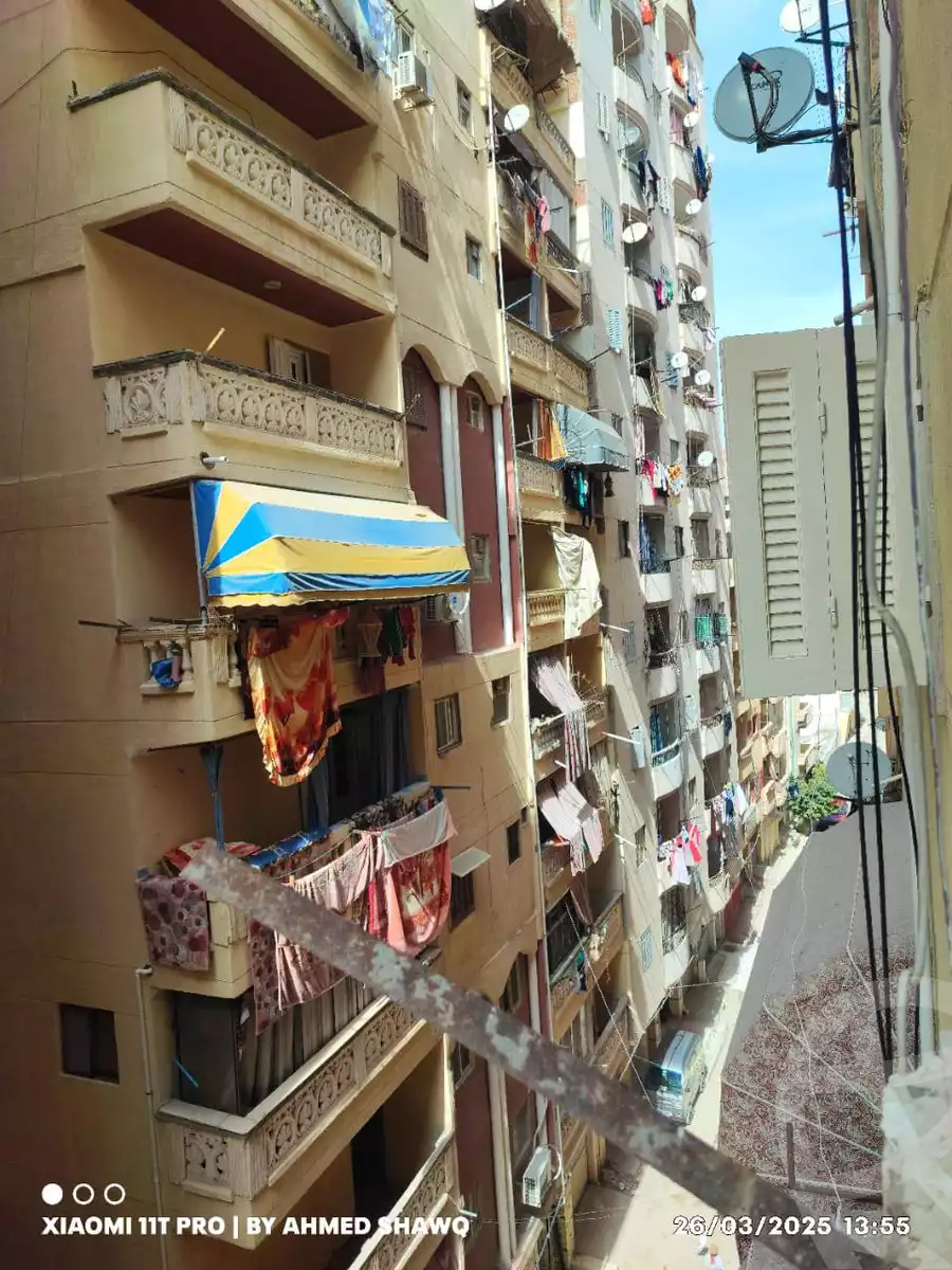 https://aqarmap.com.eg/en/listing/5761121-for-sale-alexandria-l-jmy-bw-ywsf