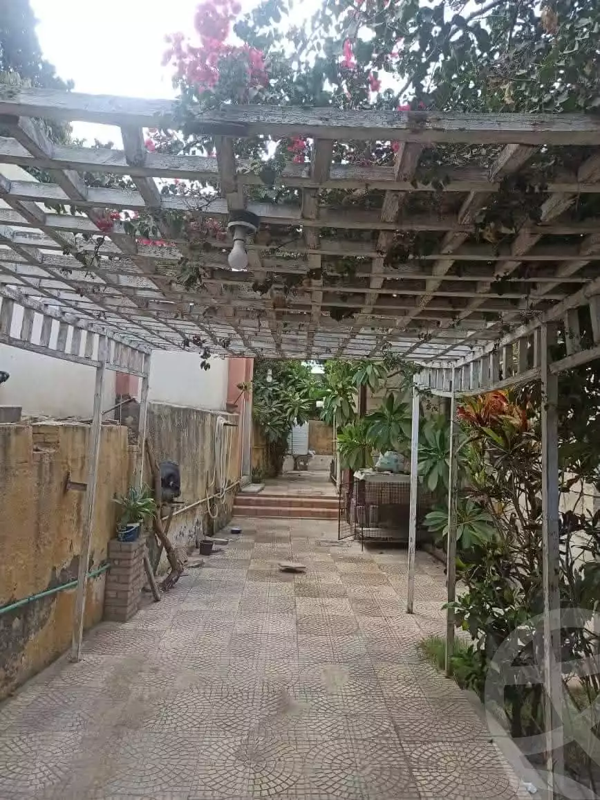 https://aqarmap.com.eg/en/listing/5765202-for-sale-alexandria-l-jmy-lbytsh-el-batal-ahmed-abd-el-aziz-belbis-st