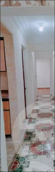 https://aqarmap.com.eg/ar/listing/5766107-for-sale-alexandria-l-jmy-lbytsh-al-aeda-al-kadema-st