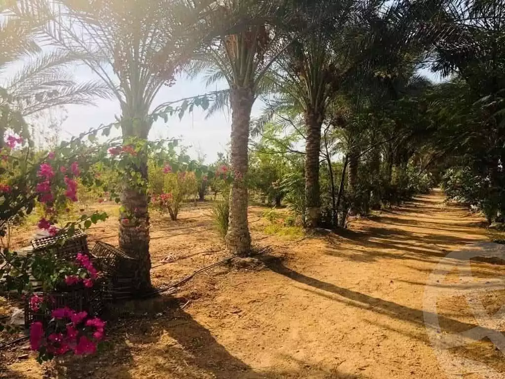 https://aqarmap.com.eg/en/listing/5768493-for-sale-alexandria-cairo-alexandria-desert-road