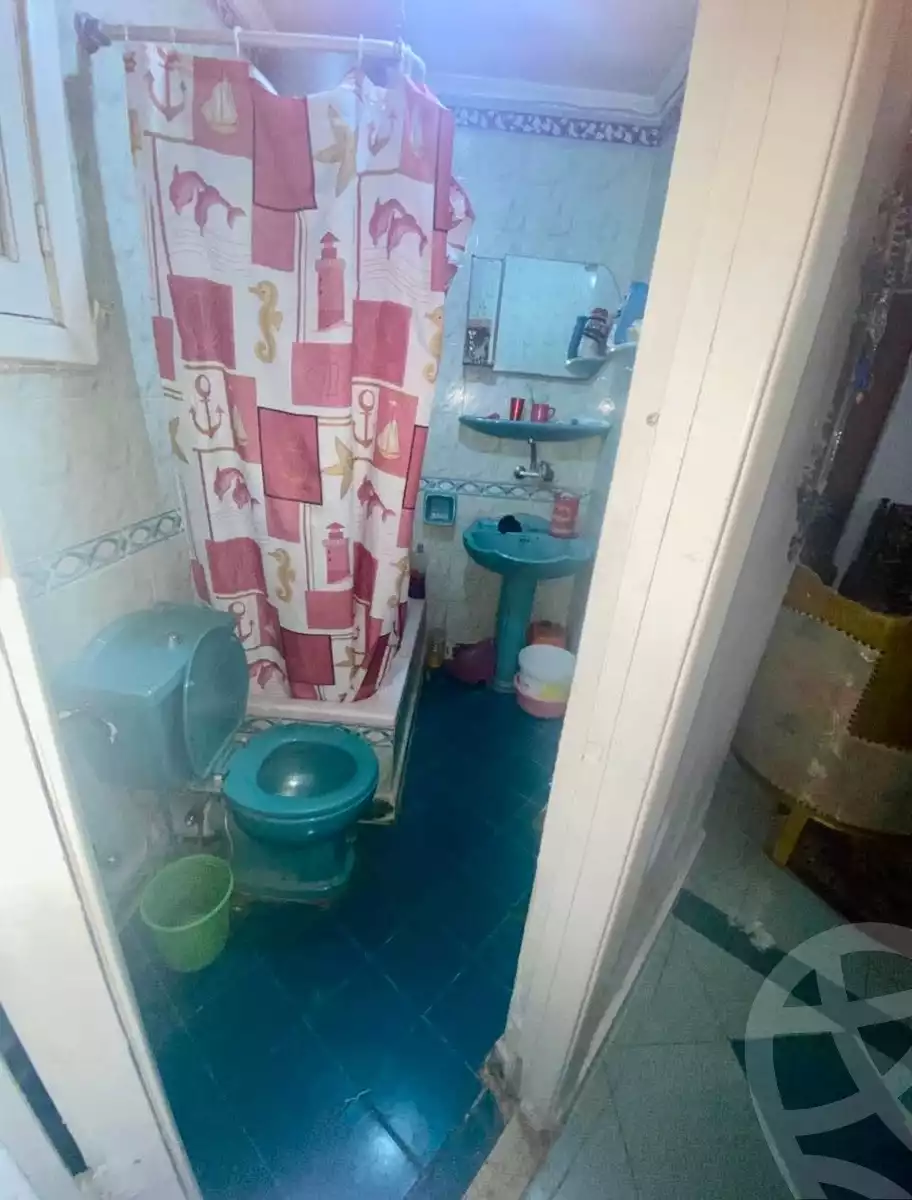 https://aqarmap.com.eg/en/listing/5769066-for-sale-alexandria-smouha-el-mahmoudya-road