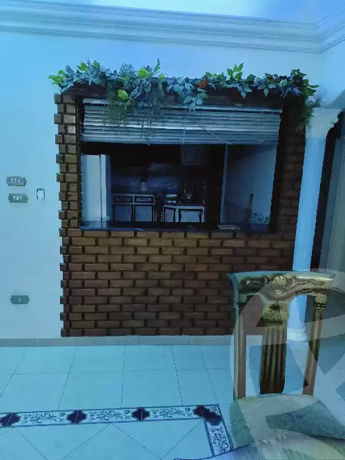 https://aqarmap.com.eg/en/listing/5772037-for-rent-alexandria-el-mandara-alex-el-mandara-bahri-sidi-kamal-st