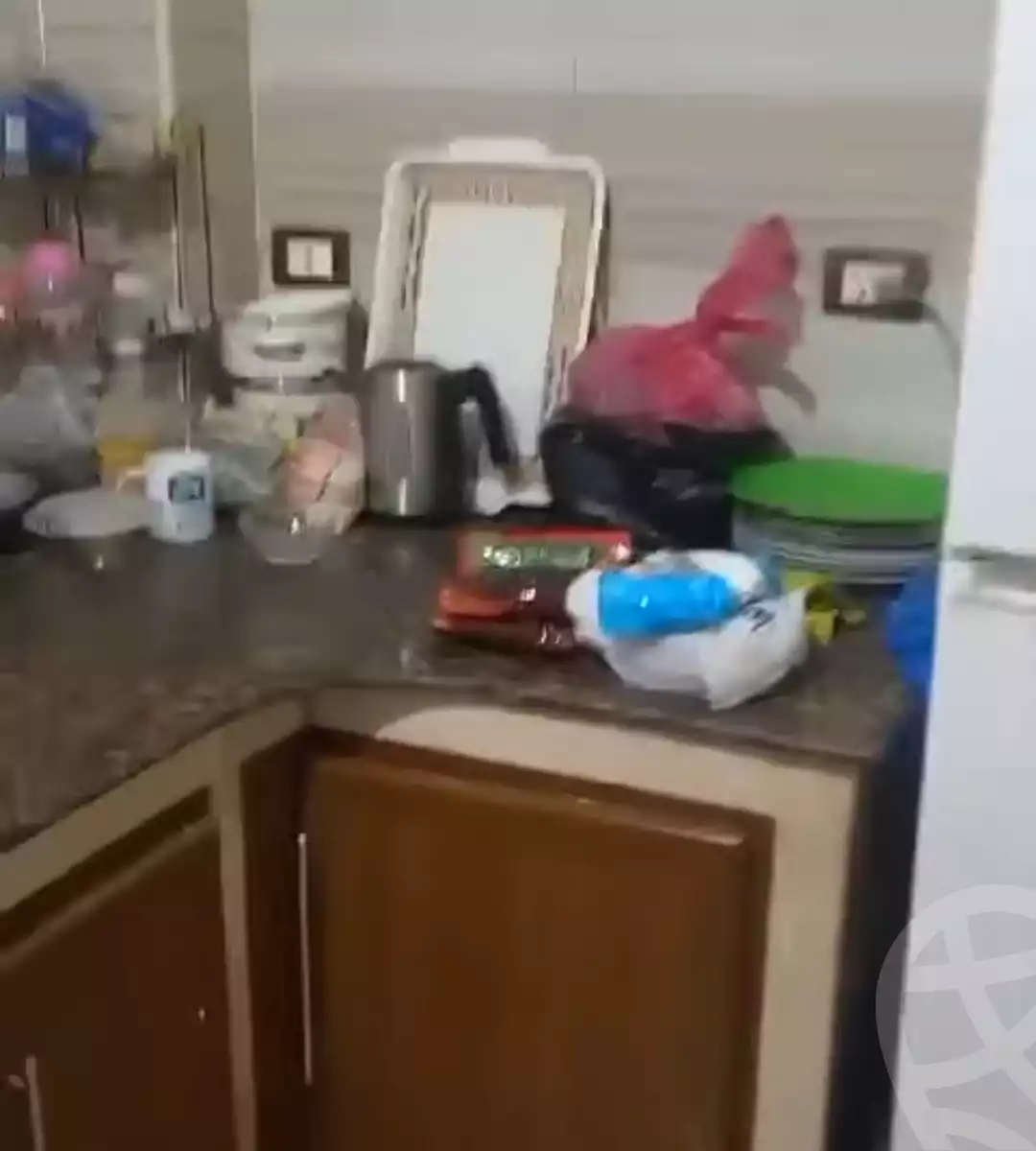 https://aqarmap.com.eg/en/listing/5772984-for-rent-sharqia-zagazig