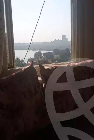 https://aqarmap.com.eg/en/listing/5773748-for-sale-cairo-manial
