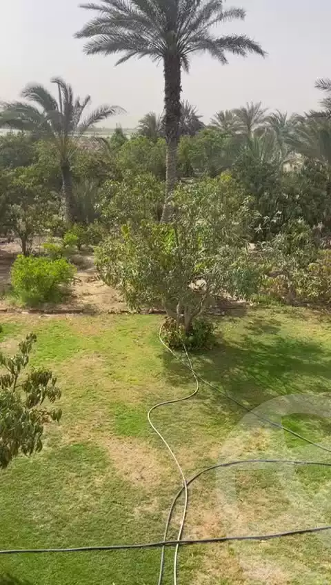 https://aqarmap.com.eg/en/listing/5774391-for-sale-cairo-el-sheikh-zayed-city-alex-cairo-desert-road