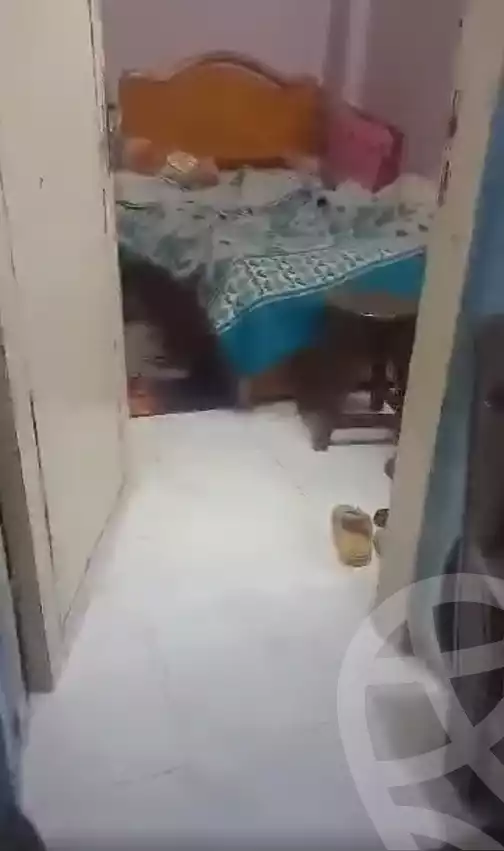 https://aqarmap.com.eg/en/listing/5774482-for-sale-cairo-ain-shams-6-october-st