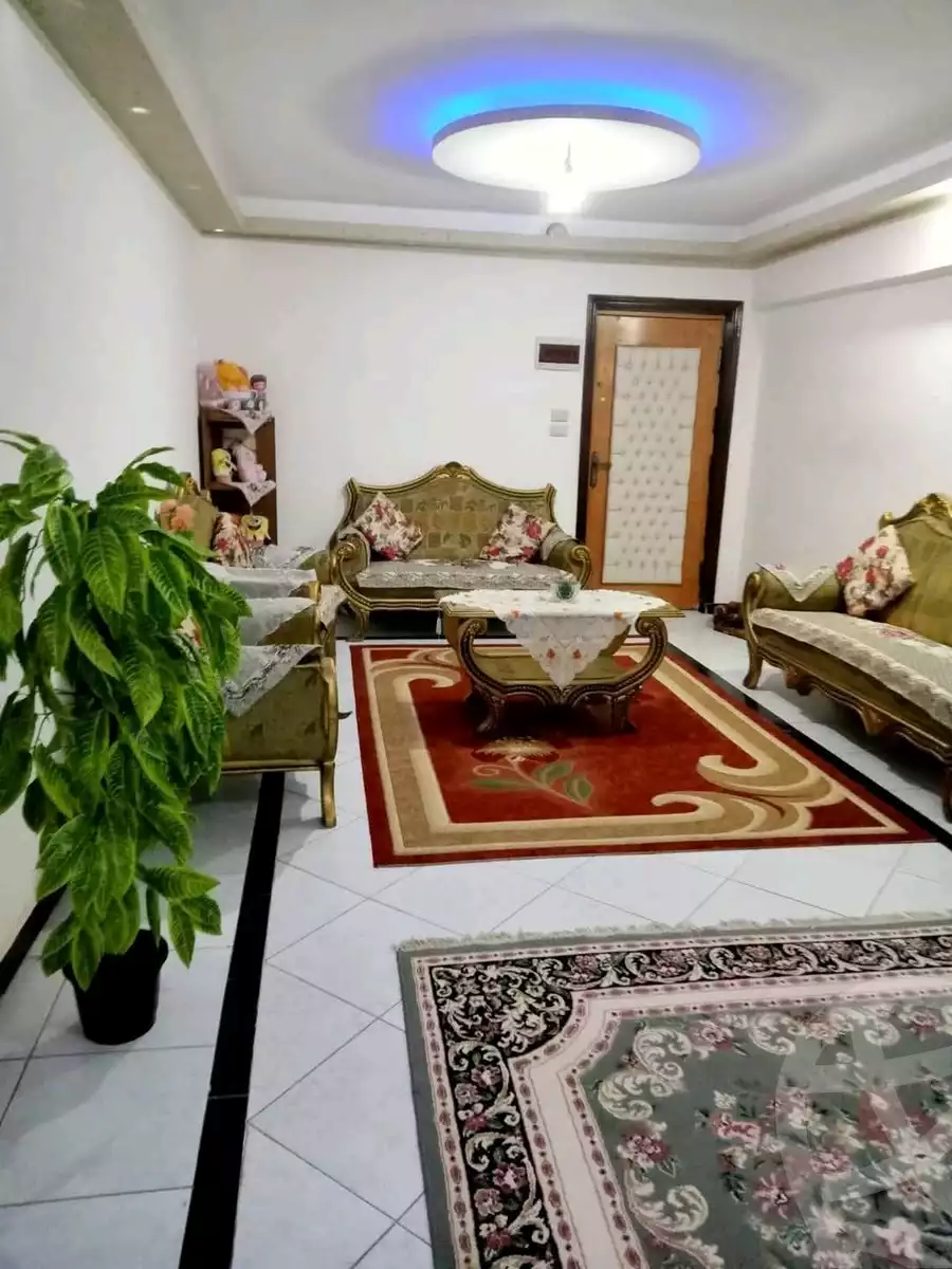 https://aqarmap.com.eg/en/listing/5776395-for-sale-alexandria-l-jmy-bw-ywsf