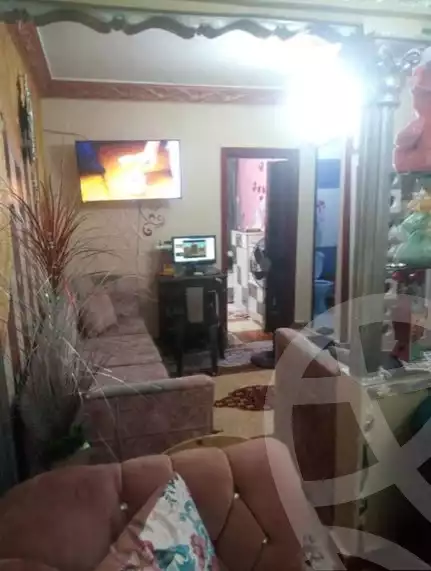 https://aqarmap.com.eg/en/listing/5776870-for-sale-alexandria-l-jmy-bw-ywsf