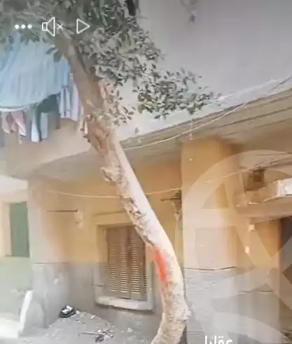 https://aqarmap.com.eg/en/listing/5778194-for-sale-cairo-el-haram-shareaa-khatem-el-morsalen