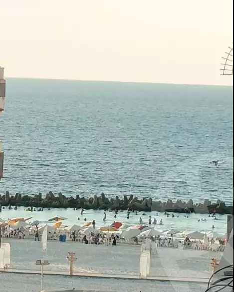 https://aqarmap.com.eg/en/listing/5778792-for-sale-alexandria-l-jmy-shataa-el-nakheel