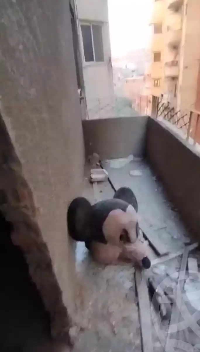 https://aqarmap.com.eg/en/listing/5779605-for-sale-cairo-el-haram-el-lebeny