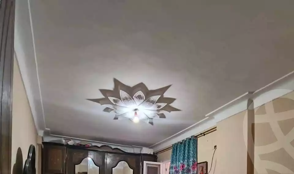 https://aqarmap.com.eg/en/listing/5779798-for-sale-alexandria-l-jmy-lbytsh-shahr-al-assal-st