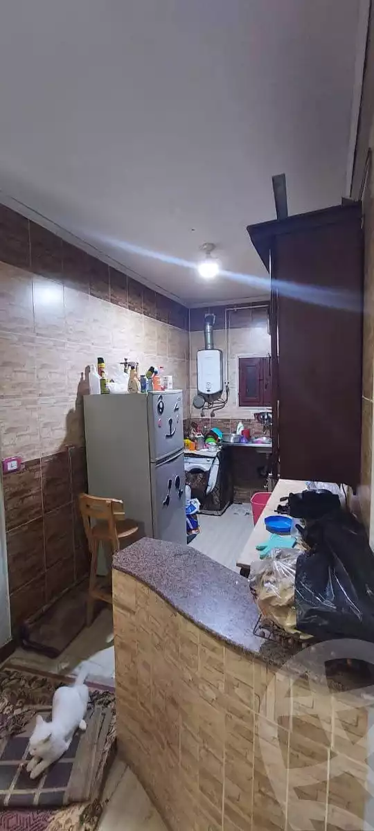 https://aqarmap.com.eg/en/listing/5780077-for-rent-cairo-helwan-el-tayaran-city
