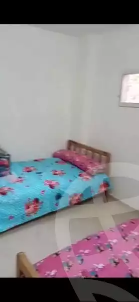 https://aqarmap.com.eg/en/listing/5780306-for-rent-cairo-el-haram-nasr-el-din