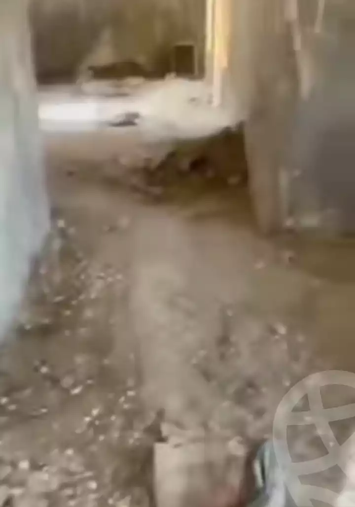 https://aqarmap.com.eg/en/listing/5780462-for-sale-cairo-ain-shams-ain-shams-el-sharkia
