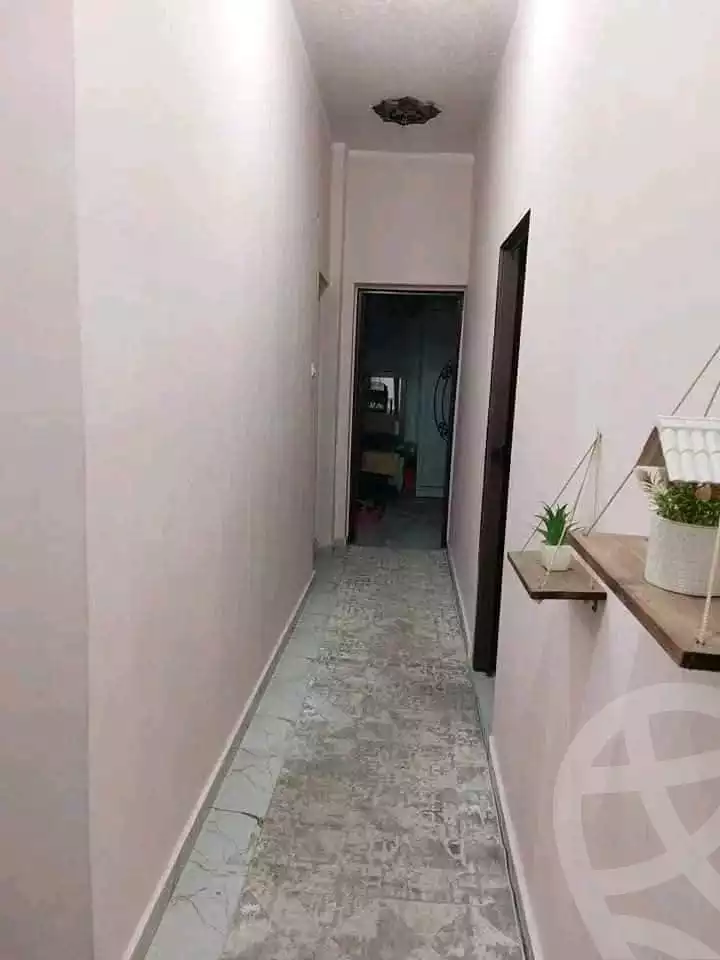 https://aqarmap.com.eg/en/listing/5781383-for-rent-ismailia-ard-el-gmaayat