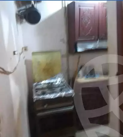 https://aqarmap.com.eg/en/listing/5784091-for-rent-alexandria-el-montazah