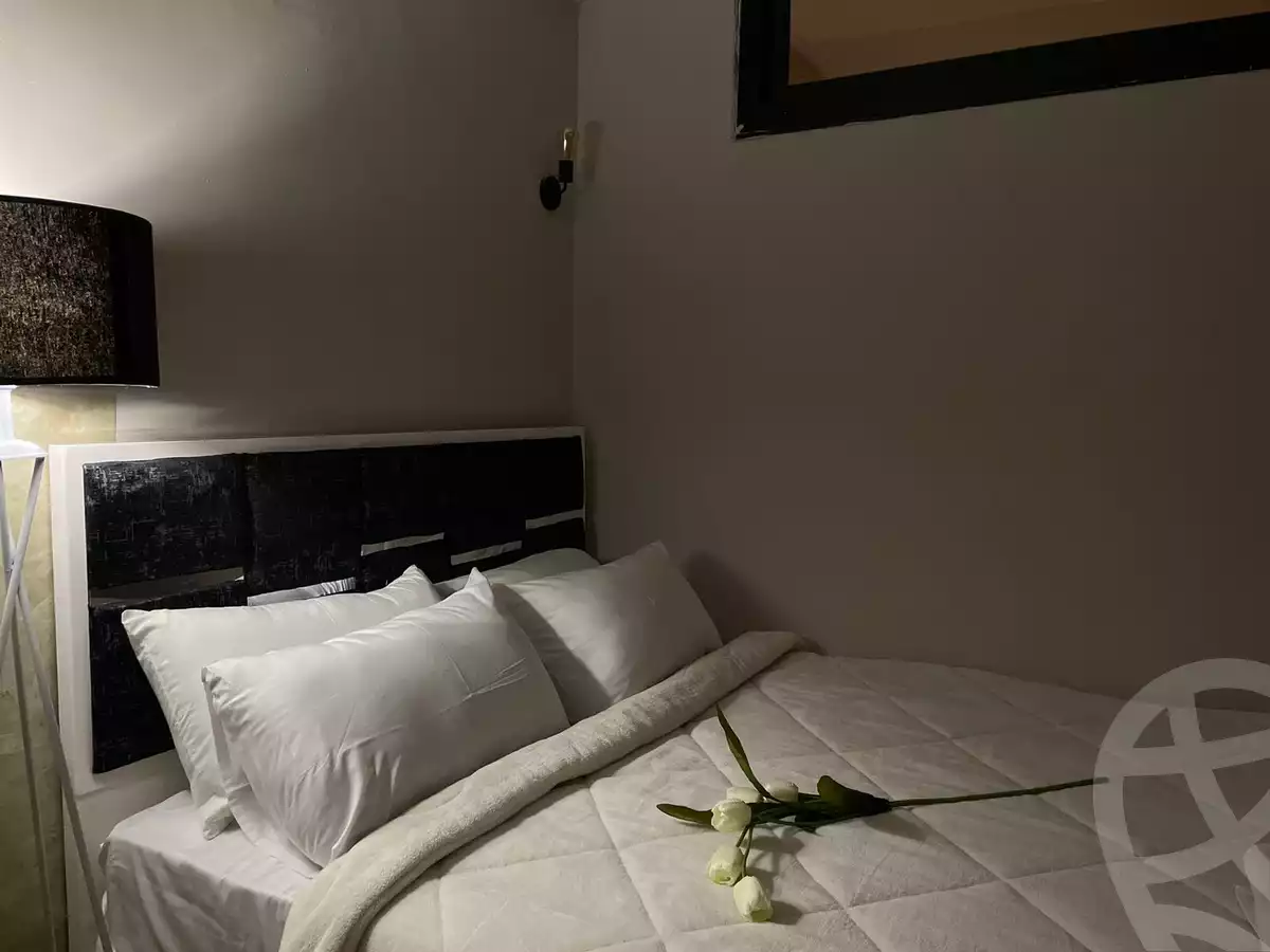 https://aqarmap.com.eg/en/listing/5784752-for-rent-cairo-al-zamalek-shr-th-hsyn