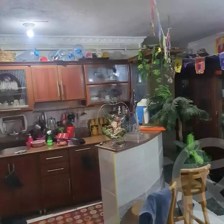 https://aqarmap.com.eg/ar/listing/5794220-for-sale-alexandria-l-jmy-lbytsh-al-samalehy-2-st