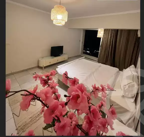 https://aqarmap.com.eg/en/listing/5796462-for-rent-cairo-al-zamalek