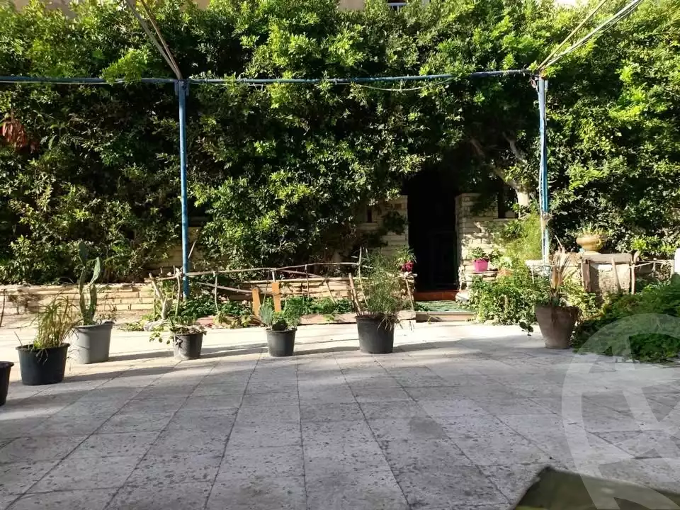 https://aqarmap.com.eg/en/listing/5796701-for-sale-alexandria-l-jmy-shataa-el-nakheel