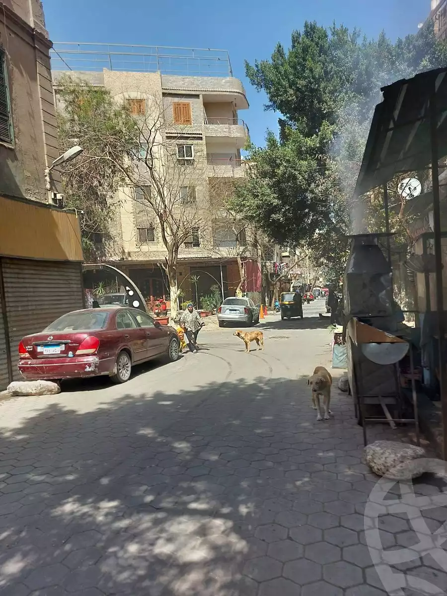 https://aqarmap.com.eg/en/listing/5797373-for-sale-cairo-el-sayyeda-zeinab