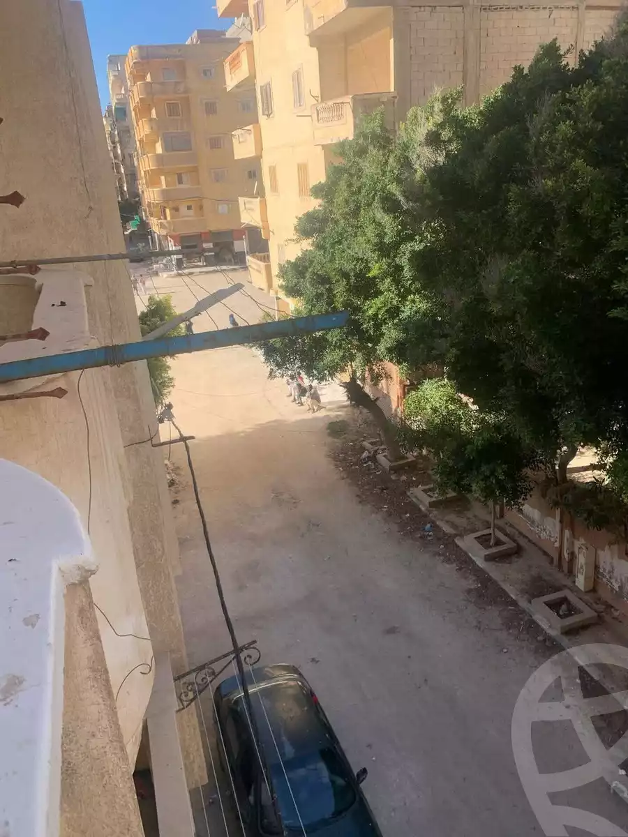 https://aqarmap.com.eg/en/listing/5798057-for-sale-alexandria-l-jmy-shataa-el-nakheel-shatea-al-salam-st