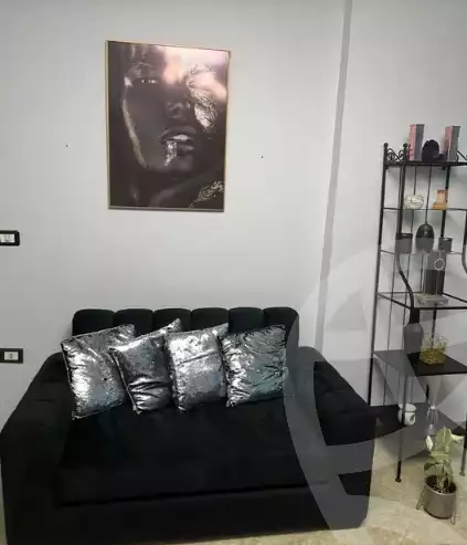 https://aqarmap.com.eg/en/listing/5799675-for-rent-cairo-el-maadi-tora