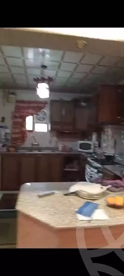 https://aqarmap.com.eg/en/listing/5811878-for-sale-alexandria-ganaklis-el-morsaleen-el-american-st