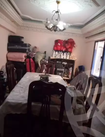 https://aqarmap.com.eg/ar/listing/5813971-for-sale-alexandria-ganaklis-shr-bw-qyr-tryq-lhry