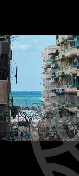 https://aqarmap.com.eg/en/listing/5815465-for-sale-alexandria-l-jmy-shataa-el-nakheel-street-2