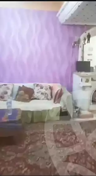https://aqarmap.com.eg/en/listing/5816107-for-sale-alexandria-l-jmy-bw-ywsf