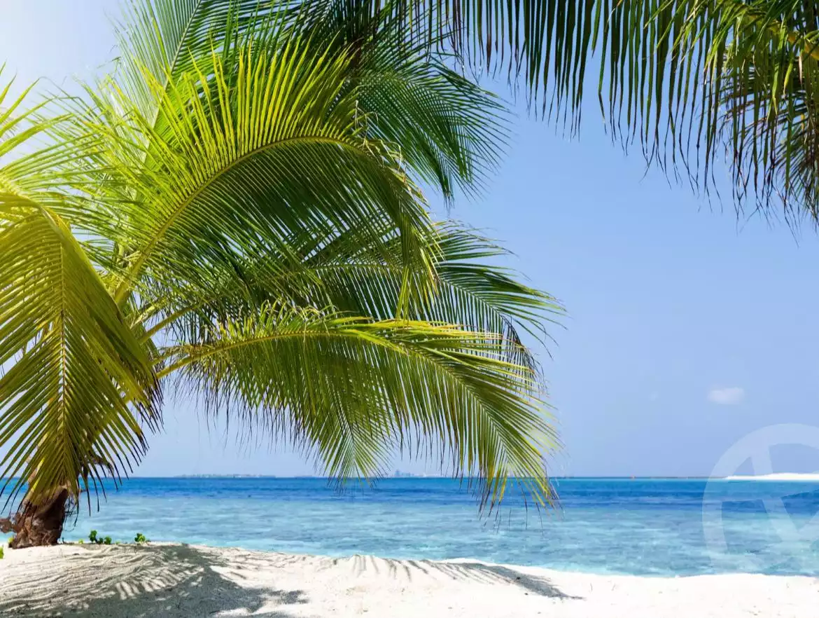 https://aqarmap.com.eg/en/listing/5820086-for-sale-north-coast-resorts-kly-kwst-myfyn-llttwyr