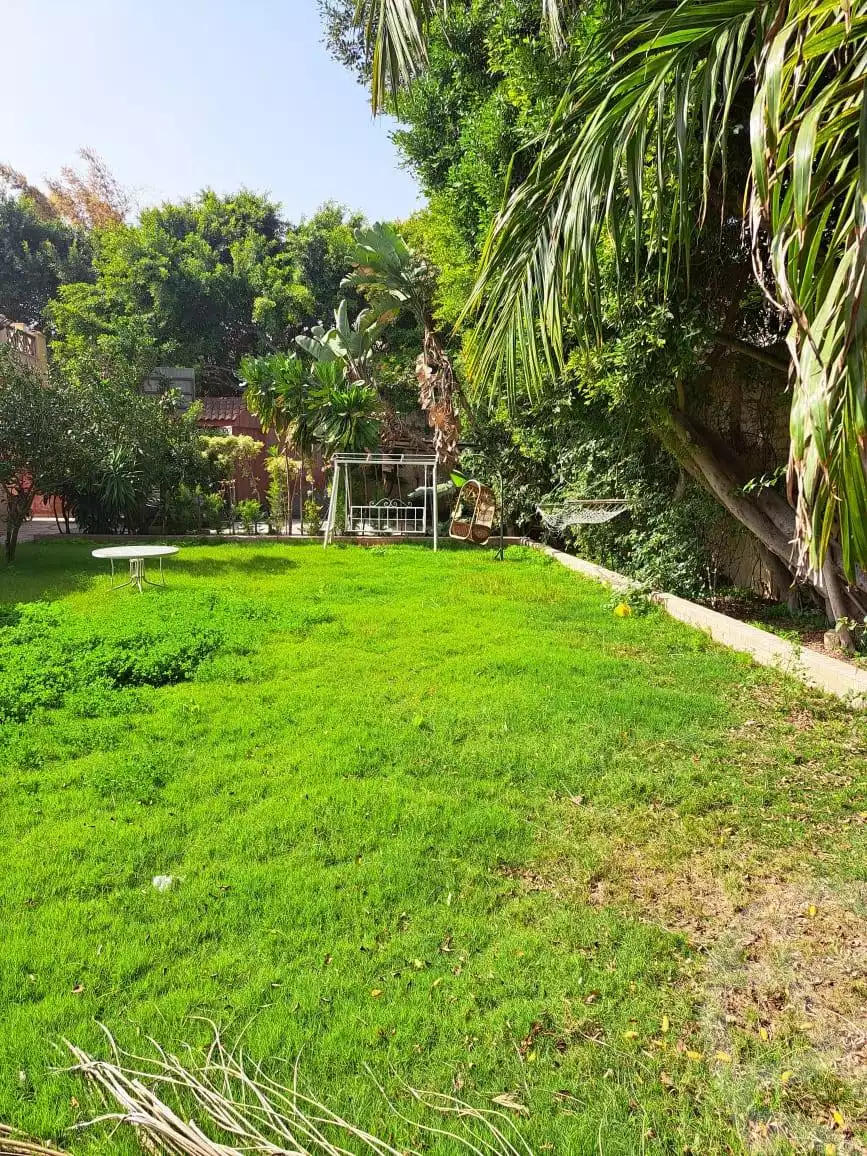 https://aqarmap.com.eg/en/listing/5821825-for-sale-alexandria-l-jmy-lbytsh-el-hanafeya-st
