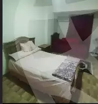 https://aqarmap.com.eg/en/listing/5824046-for-rent-cairo-nasr-city-mostafa-el-nahaas-st