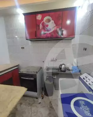 https://aqarmap.com.eg/en/listing/5827908-for-rent-alexandria-l-jmy-shataa-el-nakheel