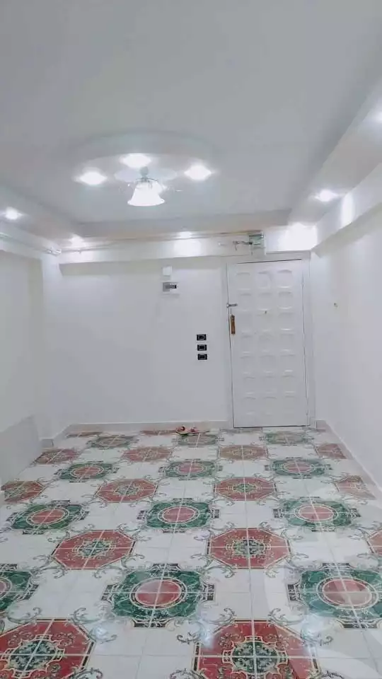 https://aqarmap.com.eg/en/listing/5828601-for-sale-alexandria-l-jmy-lbytsh-al-aeda-al-kadema-st