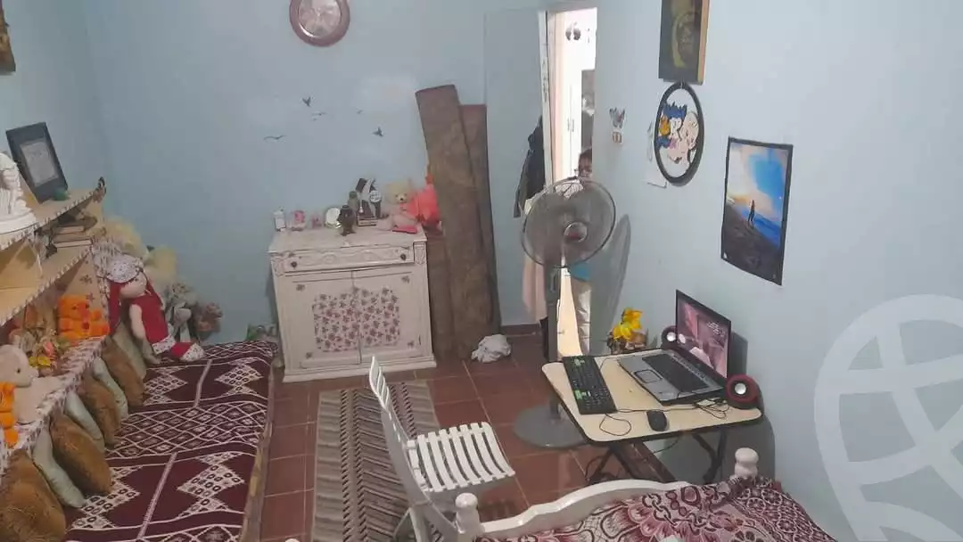 https://aqarmap.com.eg/en/listing/5837435-for-sale-alexandria-l-jmy-bw-ywsf