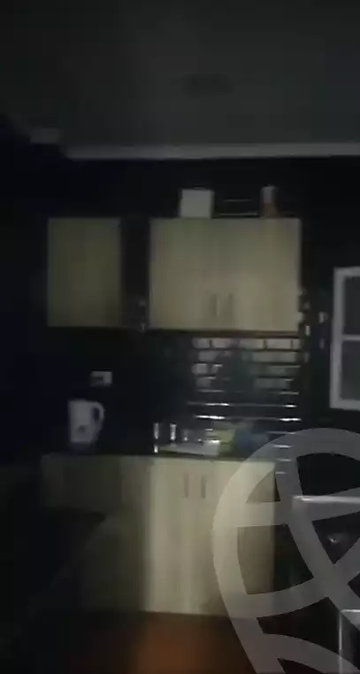 https://aqarmap.com.eg/en/listing/5837980-for-rent-cairo-nasr-city-hassan-el-mamoon