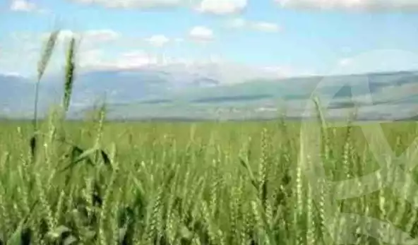https://aqarmap.com.eg/en/listing/5838059-for-sale-beheira-abu-hummus