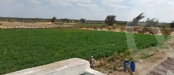https://aqarmap.com.eg/en/listing/5838068-for-sale-beheira-wadi-el-natrun