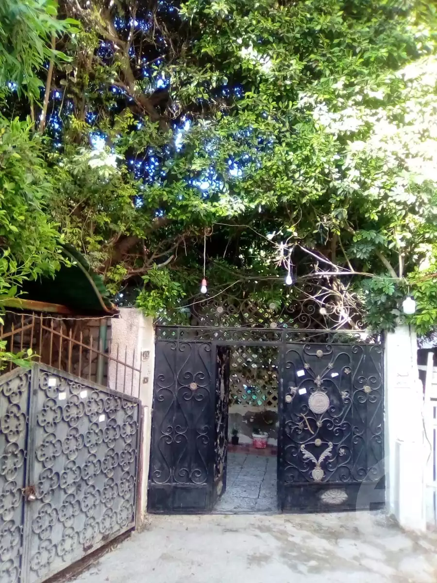 https://aqarmap.com.eg/en/listing/5841516-for-sale-alexandria-l-jmy-lbytsh-bianchiii