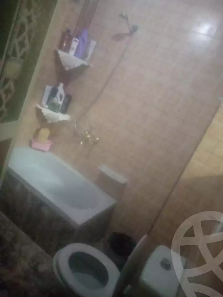 https://aqarmap.com.eg/ar/listing/5846263-for-sale-alexandria-l-jmy-lbytsh-al-samalehy-2-st